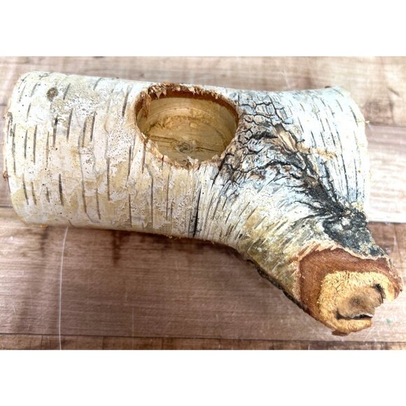 Rustic Birch Wood Candle Holder With Natural Knot Holes For Decor - Picture 1 of 7
